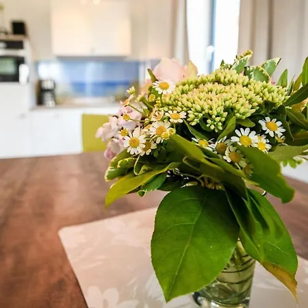 Lichtermeer-2-0 Apartamento *